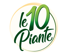 Le 10 Piante